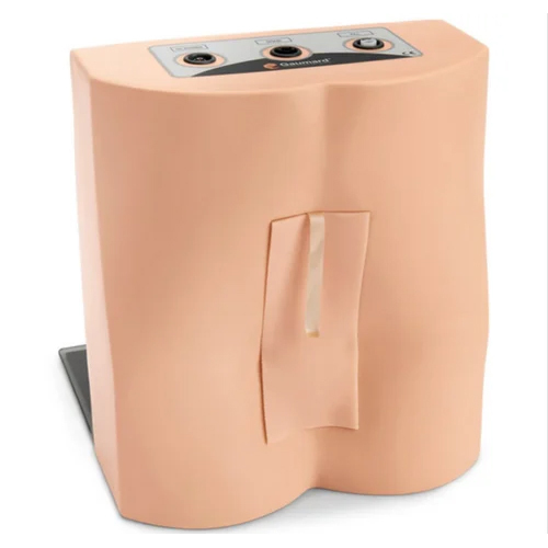 Natural Lumbar Puncture Trainer