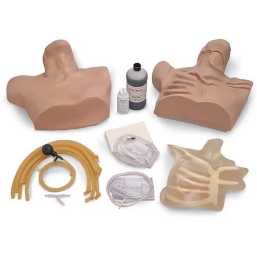 Natural Central Venous Cannulation Or Cvc Simulator