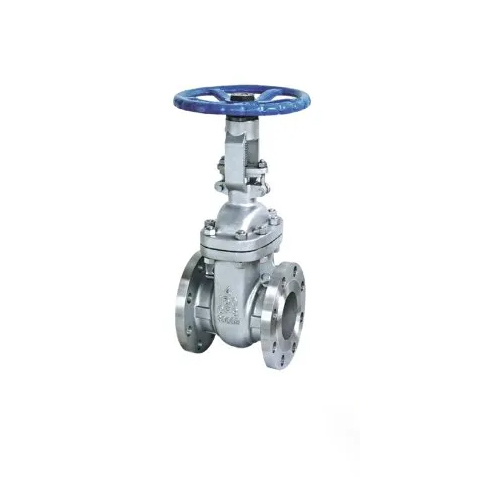 Stainless Steel Ss Gate Valve
