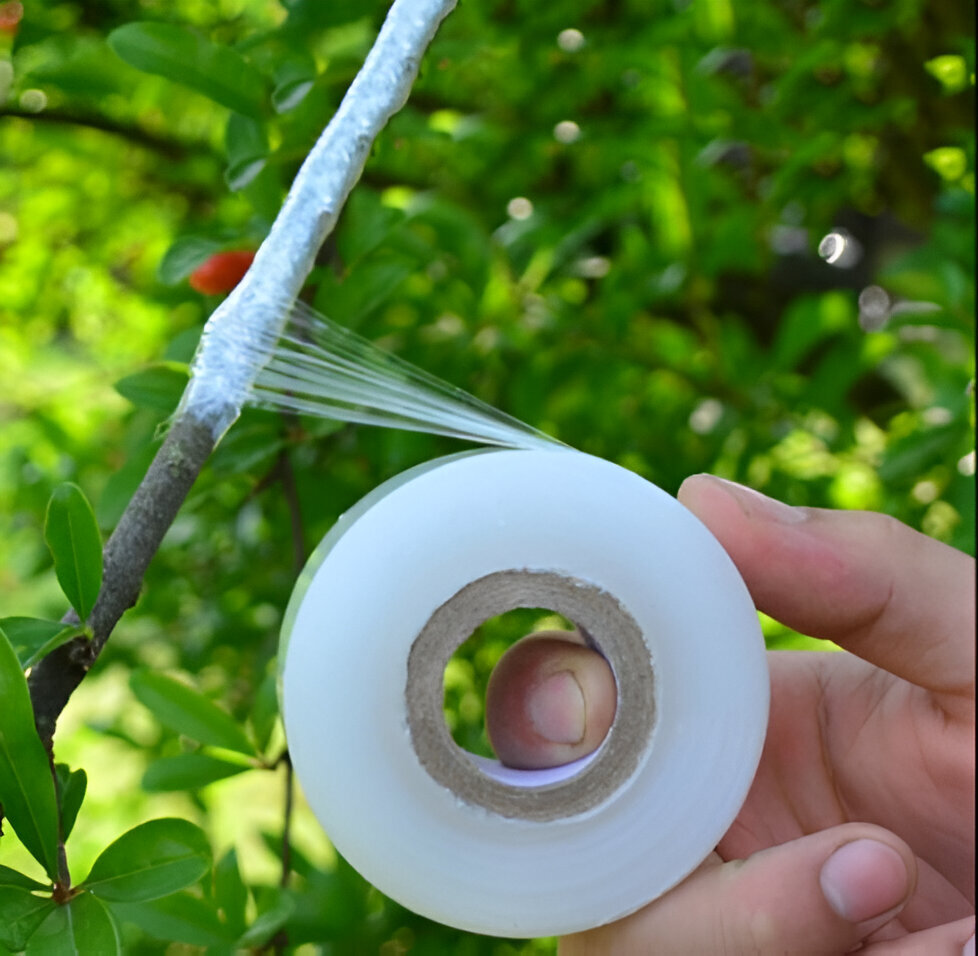 Mplus Grafting Tape 1 Inch X 100 Meter For Nurcery And Garden