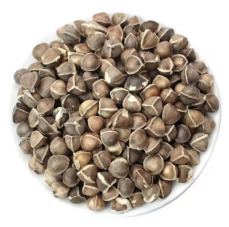 Premium Grade Moringa Seeds