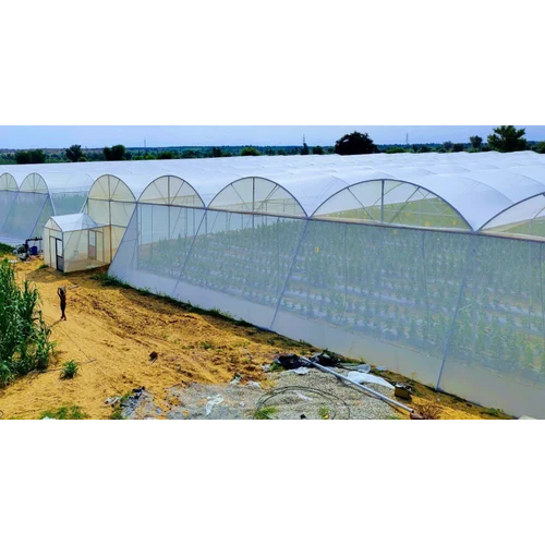 हरी पॉली टनल हाउस