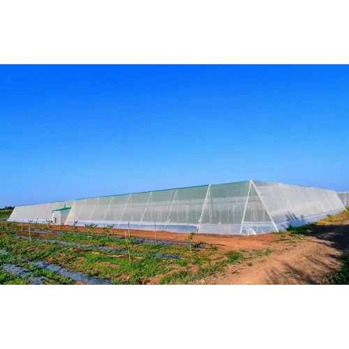Flat Type Net House - PVC & Poly-Film, Large Size, White Color | UV Stabilized, Air Cooling System, Manual Monitoring, Foldable Design