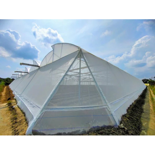 Insect Net Polyhouse - Advantage: Sun Protection