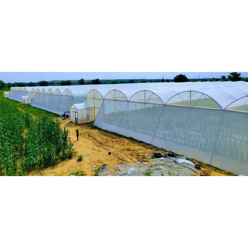Dome Shaped Net House Structure - Advantage: Long Life