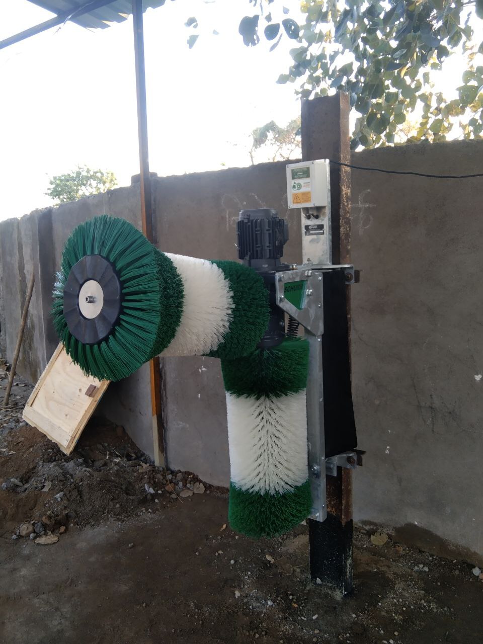 Cow Brush