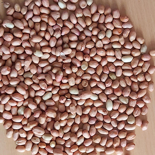 प्राकृतिक मूंगफली कर्नेल