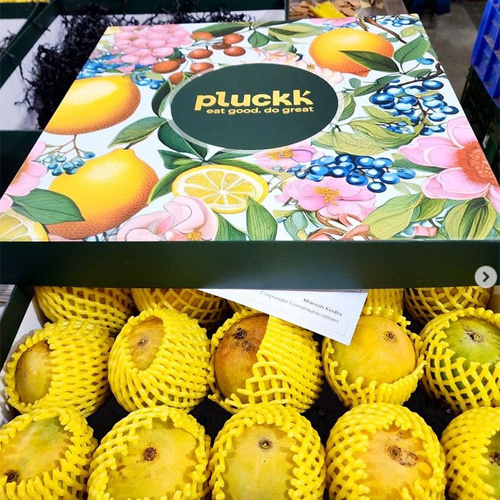 कठोर फल बॉक्स