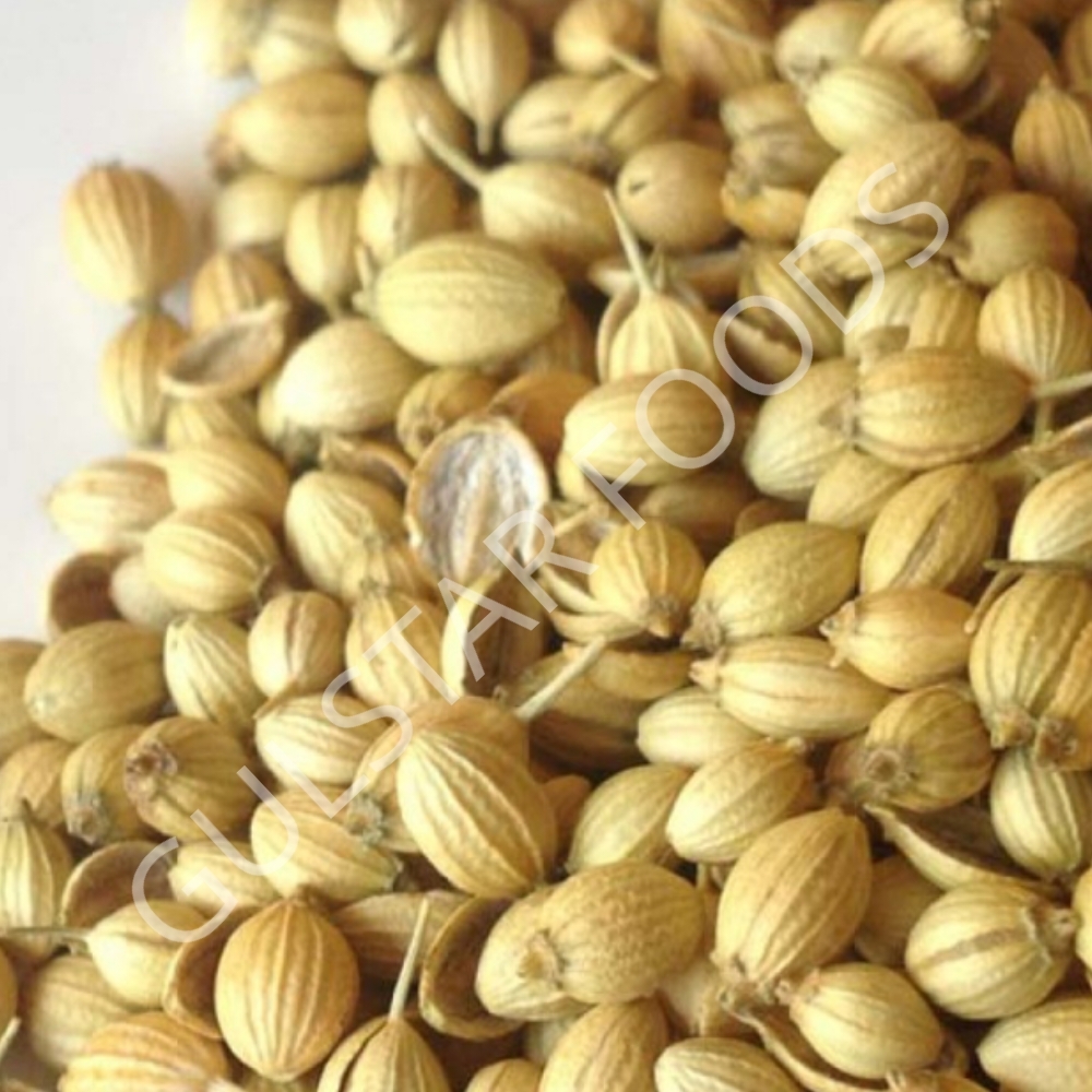 Premium Sorted Coriander Powder Loose - Brown Powder, First Class Grade | Raw Processing, 10 Months Shelf Life, Ideal For Various Cuisines