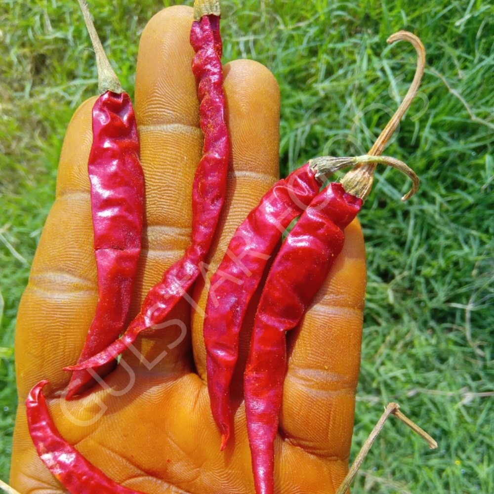 Red Chili Powder - First Class Fine Ground Spice | Fresh, Vibrant Red Color, Non-gmo, Air-cool Grinding Process, Healthy And Hygienic