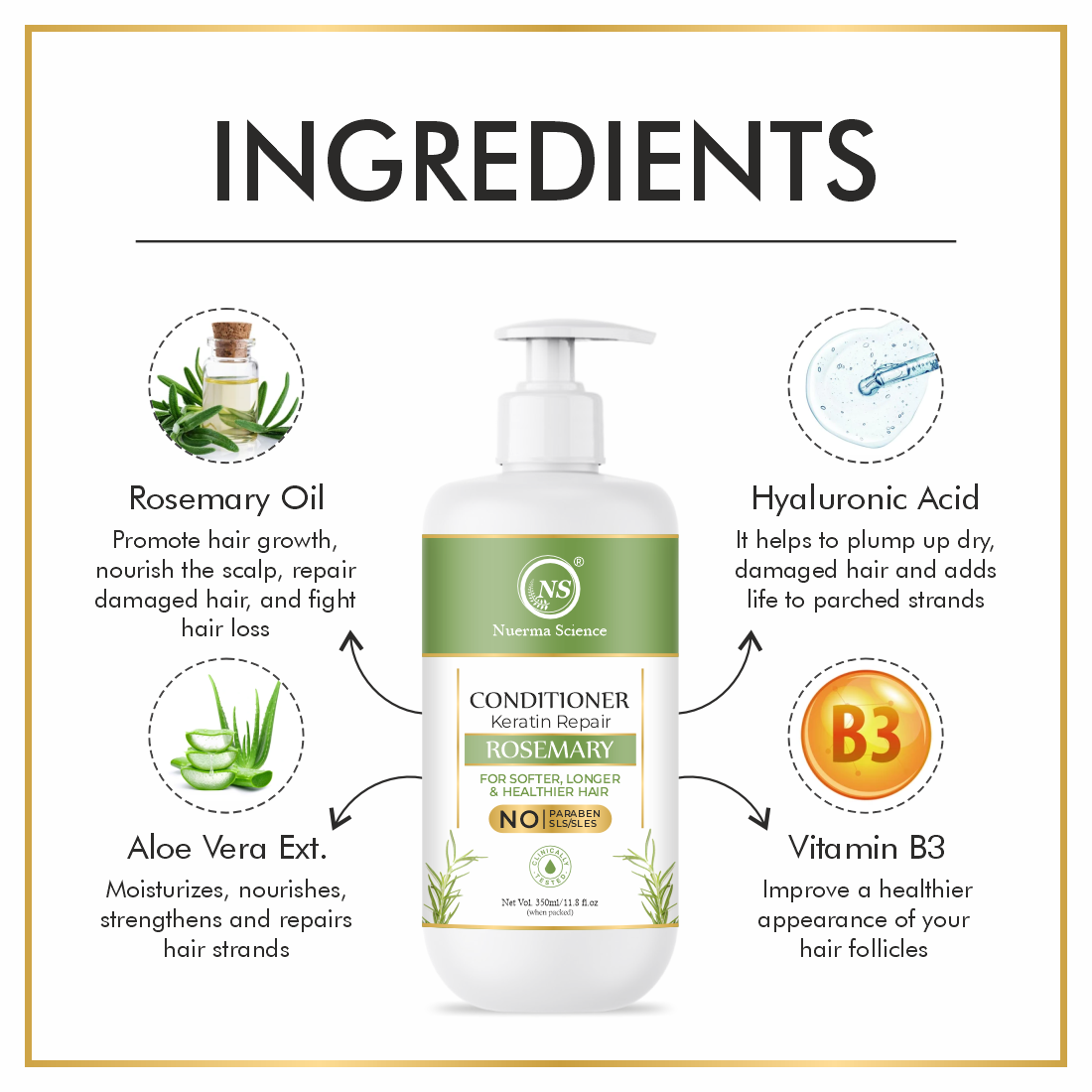 Nuerma Science Rosemary Anti Hairfall Conditioner - 350 Ml, Natural Color | Nourishing Formula, Promotes Scalp Health, Strengthens Strands