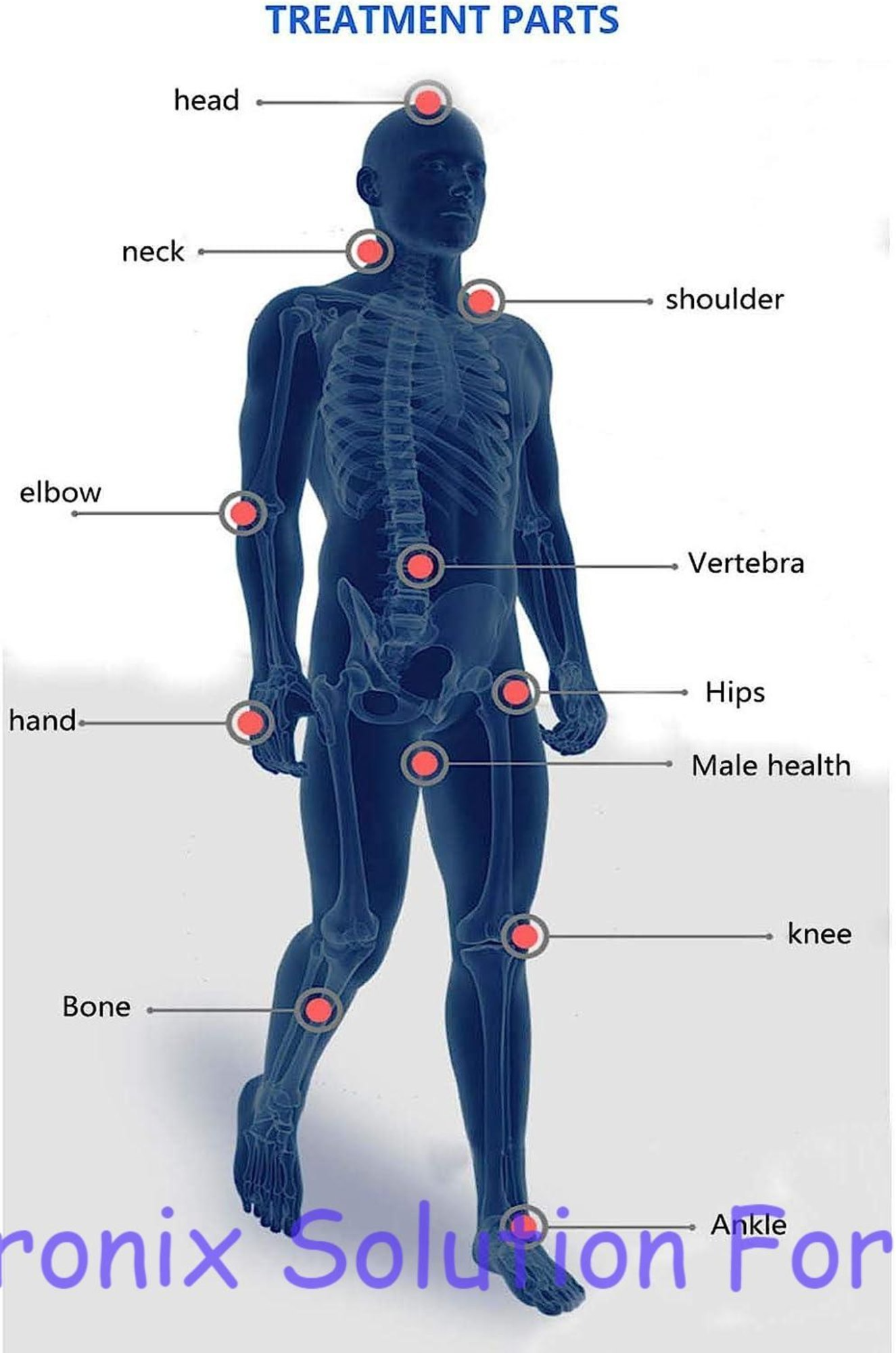 Shockwave Therapy For Rehabilitation Portable Digital Touch Screen Physiotherapy
