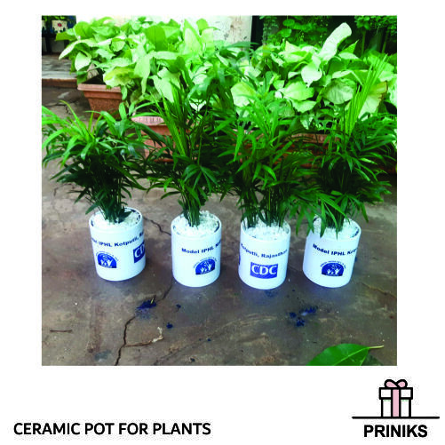Personalized Ceramic Sublimation Planter Pot - Round Shape , Customizable Design For Gifting & Brand Promotion