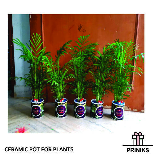 Personalized Ceramic Sublimation Planter Pot - Round Shape , Customizable Design For Gifting & Brand Promotion