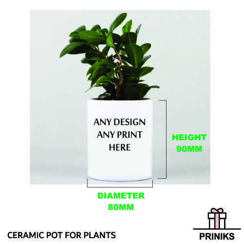 Personalized Ceramic Sublimation Planter Pot - Round Shape , Customizable Design For Gifting & Brand Promotion
