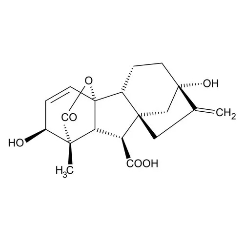 Gibberellic Acid By Kem Light Spechem Labs Private Limited
