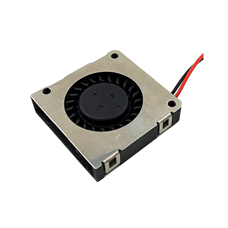 Black Dc 3007 Blower