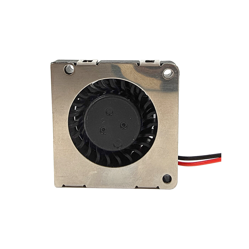 Black Dc 3007 Blower