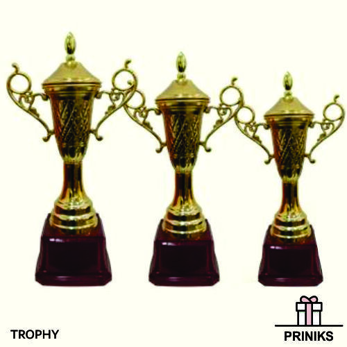 Cricket Sports Trophy - Crafted Resin, 12 Inches Tall, Glossy Finish | Competitive Style, Home Decoration Theme, Sports Technique