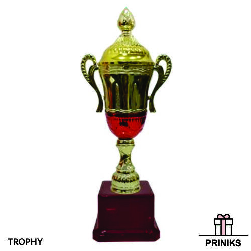 Cricket Sports Trophy - Crafted Resin, 12 Inches Tall, Glossy Finish | Competitive Style, Home Decoration Theme, Sports Technique