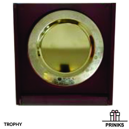 Cricket Sports Trophy - Crafted Resin, 12 Inches Tall, Glossy Finish | Competitive Style, Home Decoration Theme, Sports Technique