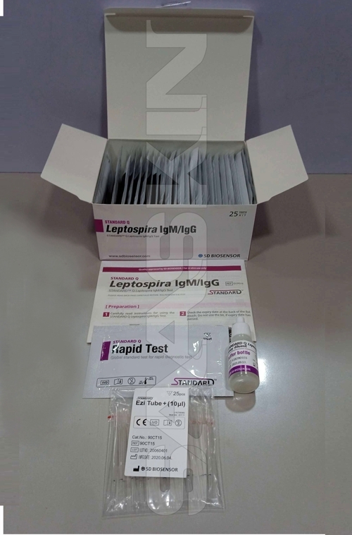 Sd Biosensor Standard Q Leptospira Igm/igg - 25 Tests , Rapid Immunochromatography Test For Igm And Igg Antibodies With High Sensitivity And Specificity