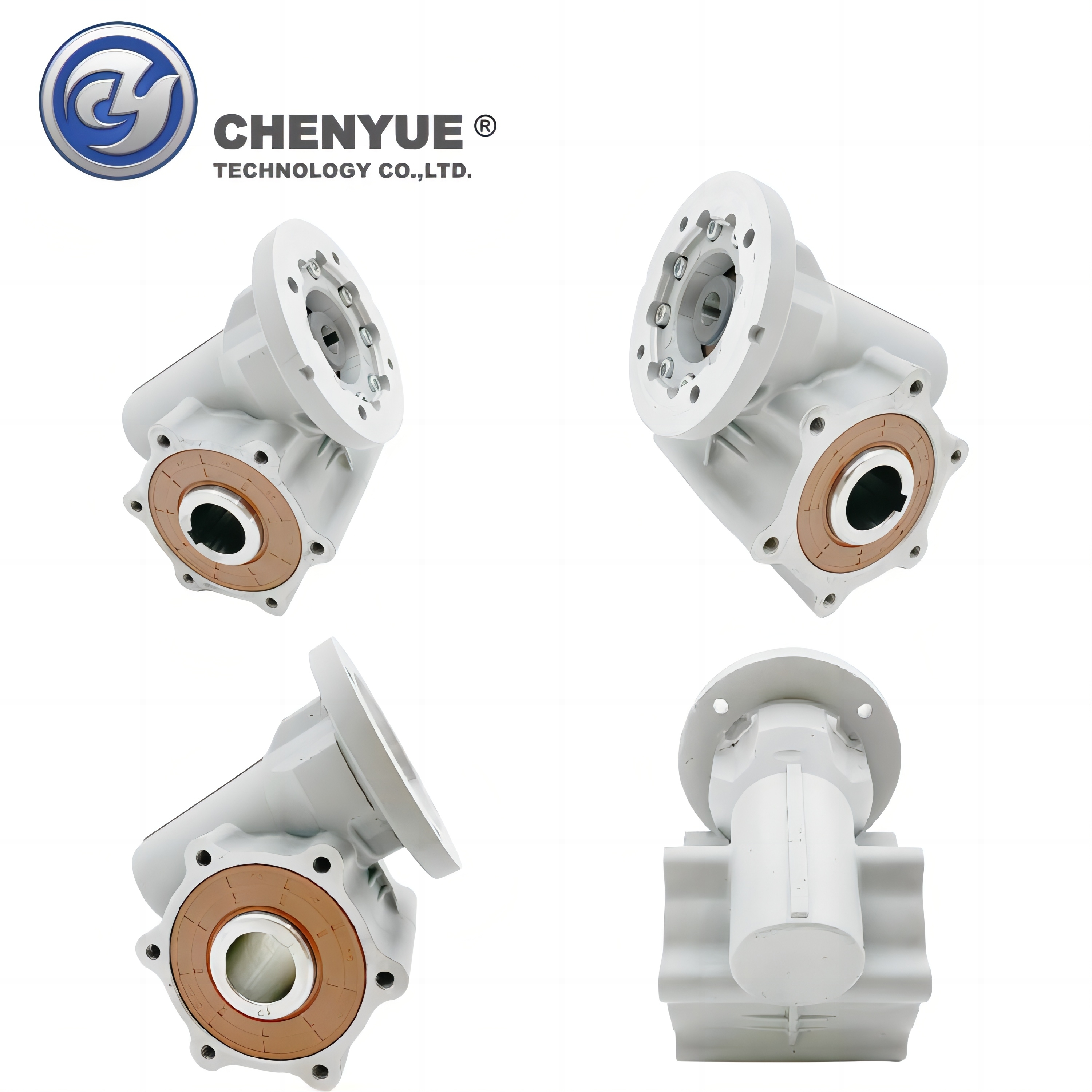 Chenyue Special Speed Reducer Waterproof Worm Gearbox Cyxrv60 Input 14 Output 30mm Speed Ratio From 10:1 To 30:1 For Automatic Car Washing