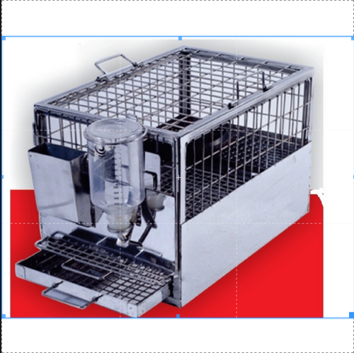Guinea Pig Cage - Stainless Steel 304, Animal Housing System for Pharmaceutical Laboratories