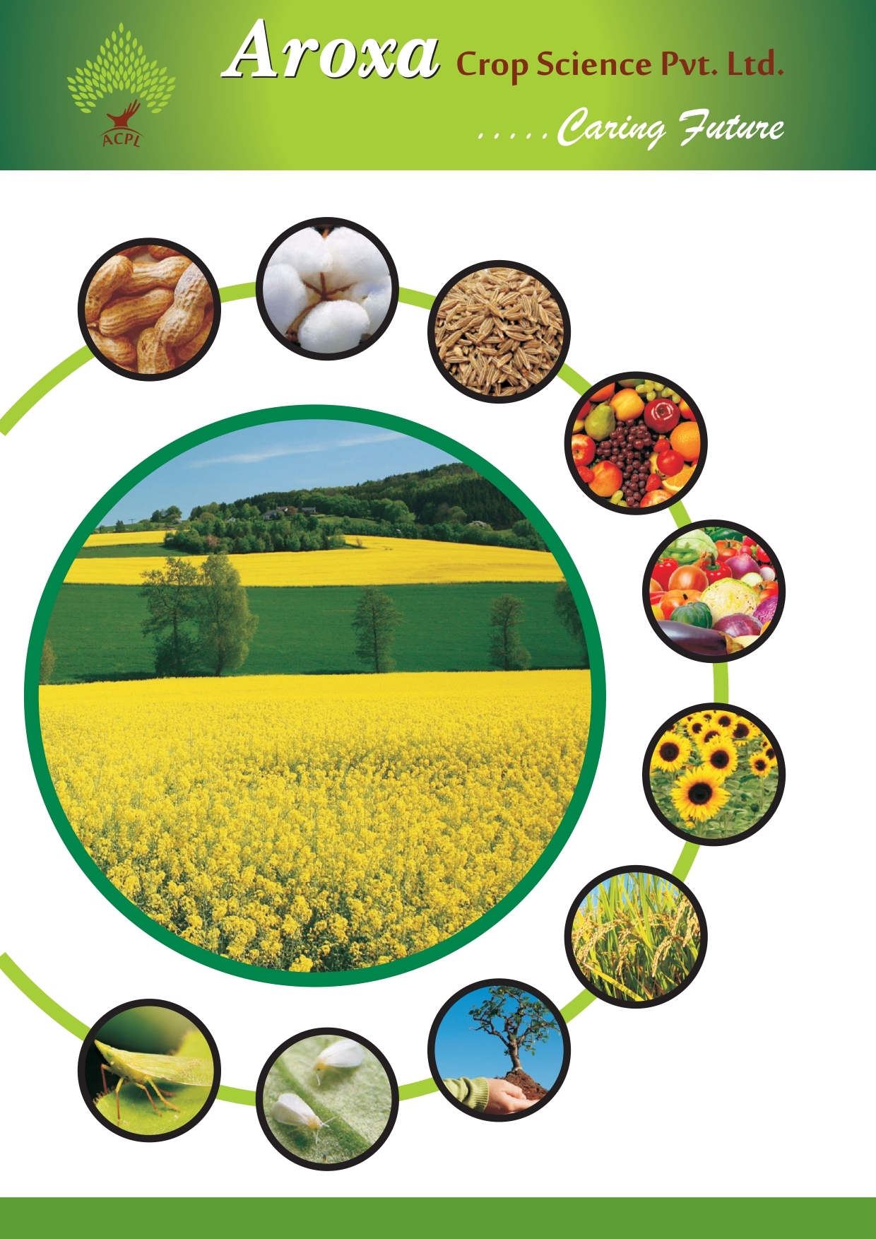 Tebuconazole Biological Pesticide - 38.39% Sc Concentration | Effective Fungal Control, Eco-friendly Solution