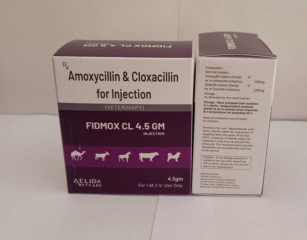 Amoxycillin And Cloxacilin For Injection Long Acting