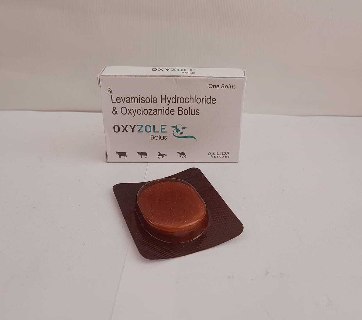 Levamisole Hydrochloride And Oxyclozanide Bolus - Veterinary Bolus, White Color, Active Ingredients: Levamisole, Oxyclozanide | Treatment For Bacterial And Parasitic Infections In Livestock, Box Packaging, 24 Months Shelf Life