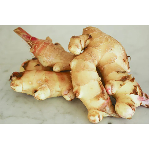 Fresh Ginger - Raw Natural Spice, 7-Day Shelf Life | Gluten-Free, Chemical Preserved, Versatile for Cooking and Baking