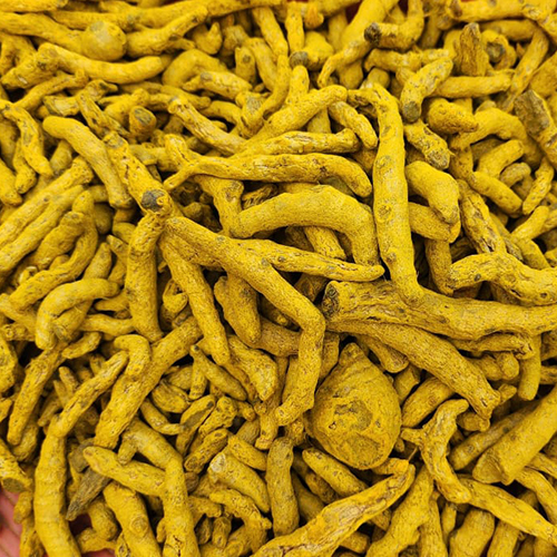 Raw Turmeric Finger - Yellow Color, Weight As Per Requirement (Kg) | Ideal For Storage In A Dry Place