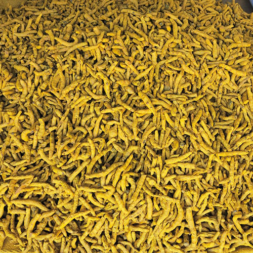 Raw Turmeric Finger - Yellow Color, Weight As Per Requirement (Kg) | Ideal For Storage In A Dry Place