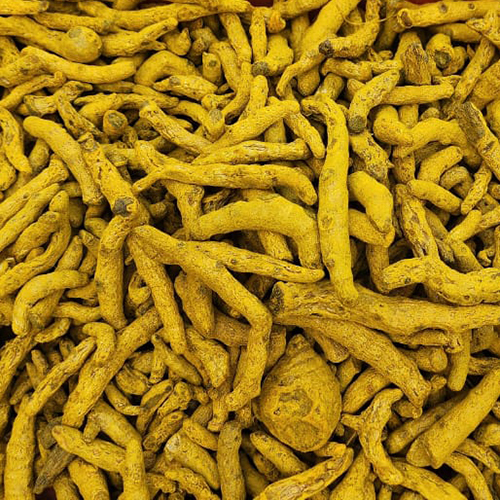 Raw Turmeric Finger - Yellow Color, Weight As Per Requirement (Kg) | Ideal For Storage In A Dry Place