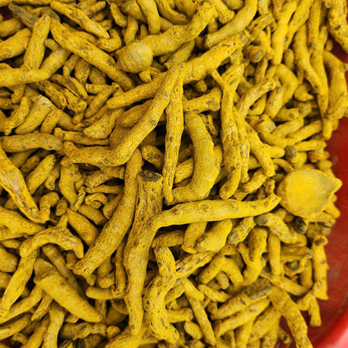 Raw Turmeric Finger - Yellow Color, Weight As Per Requirement (Kg) | Ideal For Storage In A Dry Place