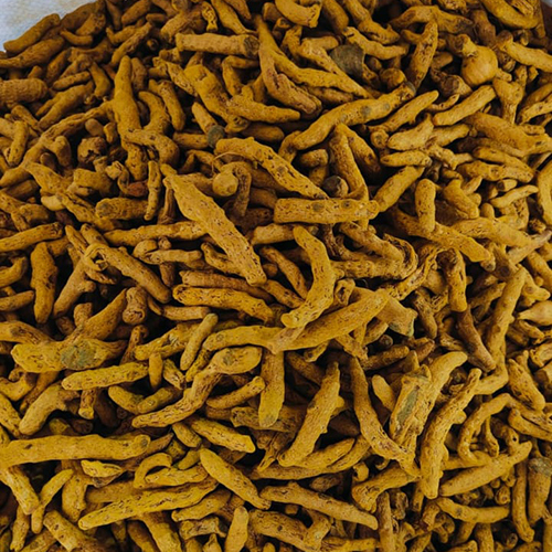Raw Turmeric Finger - Yellow Color, Weight As Per Requirement (Kg) | Ideal For Storage In A Dry Place