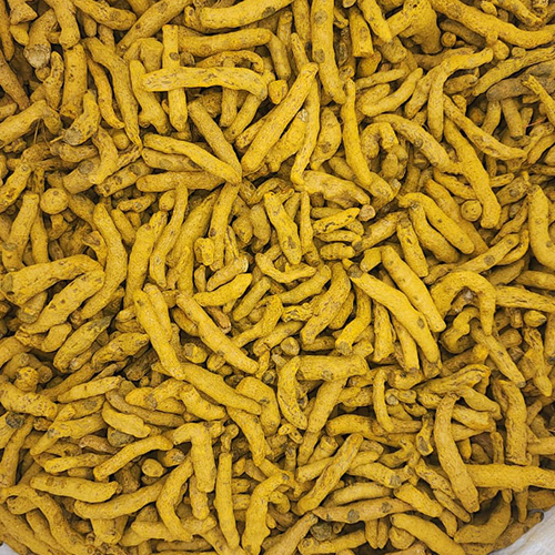 Raw Turmeric Finger - Yellow Color, Weight As Per Requirement (Kg) | Ideal For Storage In A Dry Place