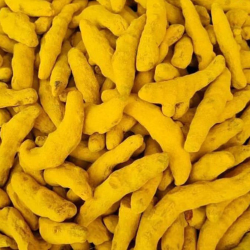 Raw Turmeric Finger - Yellow Color, Weight As Per Requirement (Kg) | Ideal For Storage In A Dry Place
