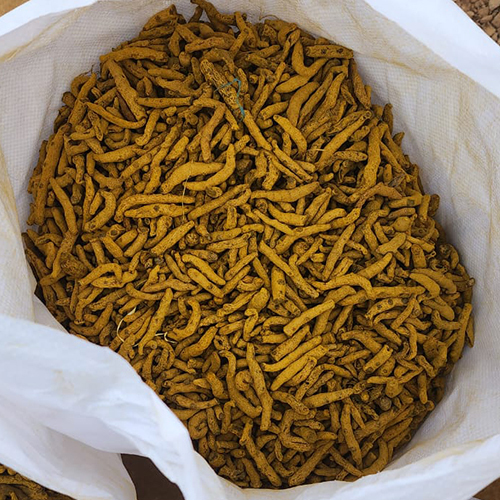 Raw Turmeric Finger - Yellow Color, Weight As Per Requirement (Kg) | Ideal For Storage In A Dry Place