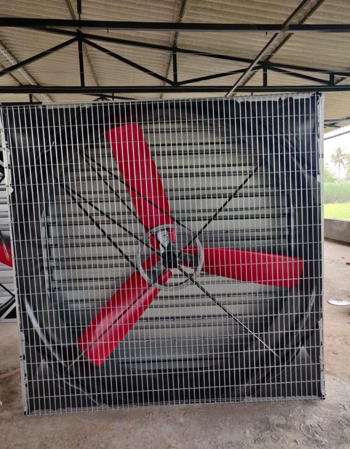 54" Poultry Multiply Exhaust Fan - Blade Diameter: 1270 Millimeter (Mm)