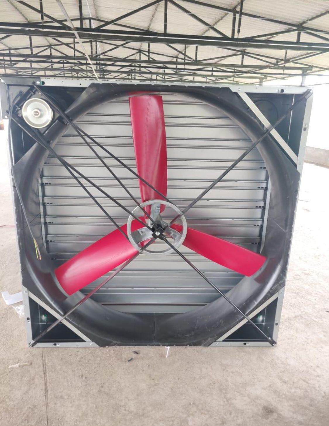 54" Poultry Multiply Exhaust Fan - Blade Diameter: 1270 Millimeter (Mm)