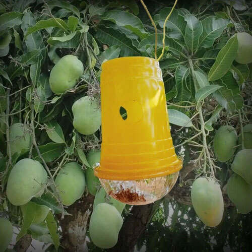 कांच का जाल