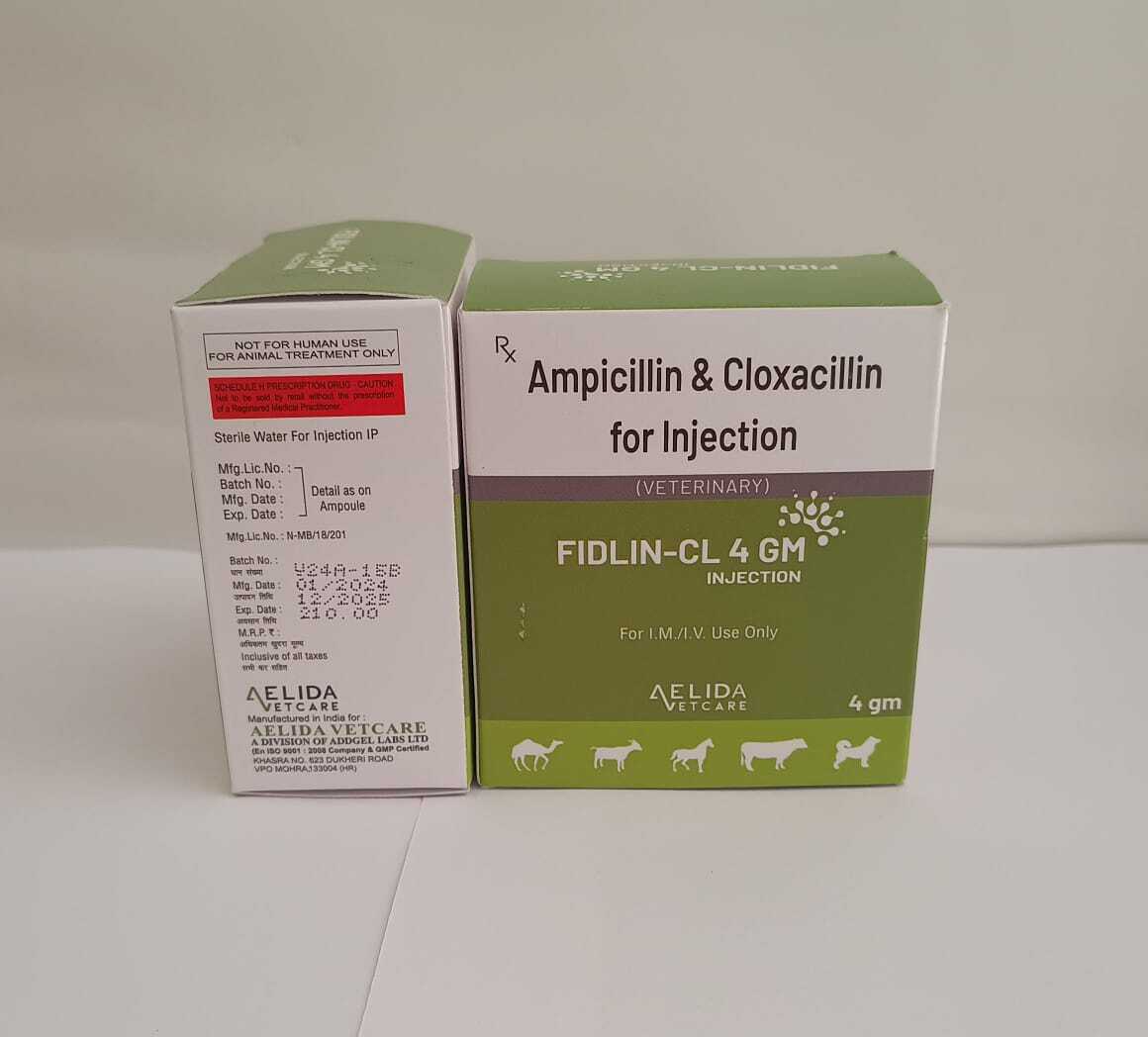 Ampicillin And Cloxacillin Injection  Long  Acting