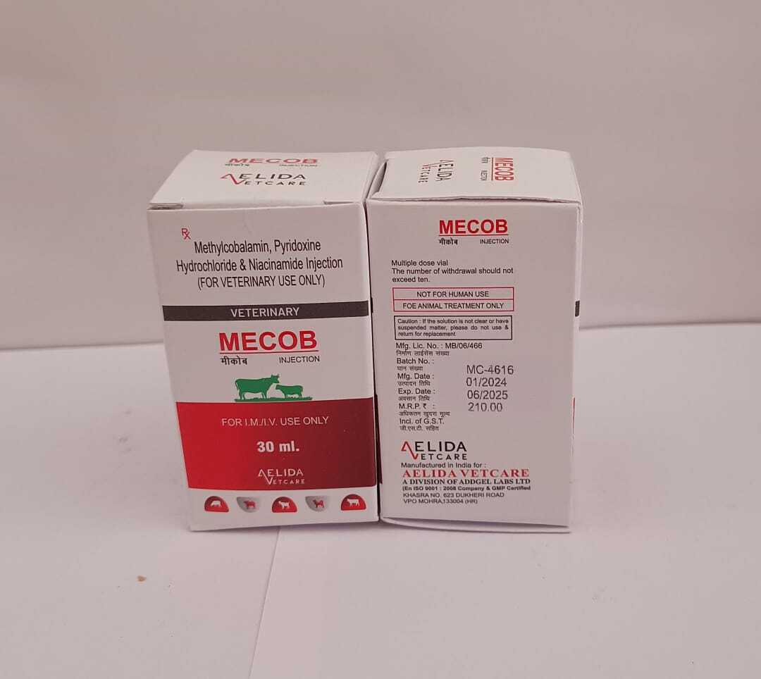 Methylcobalamin Pyridoxine Hydrochloride And Niacinamide Injection Long Acting