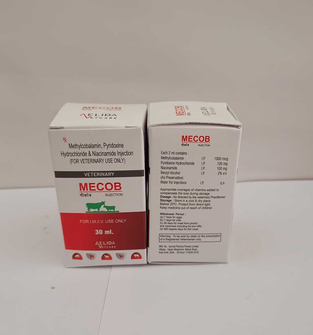 Methylcobalamin Pyridoxine Hydrochloride And Niacinamide Injection Long Acting