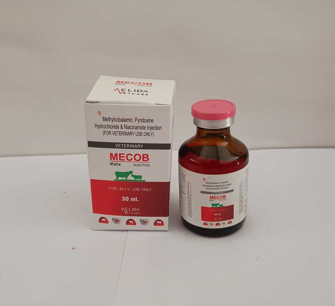 Methylcobalamin Pyridoxine Hydrochloride And Niacinamide Injection Long Acting