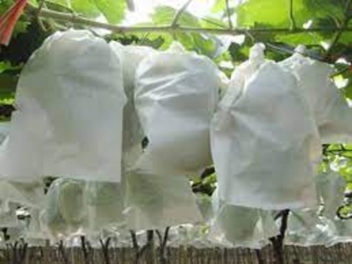 Non Woven Cover For Fruit - Color: As Per Customer Requirement