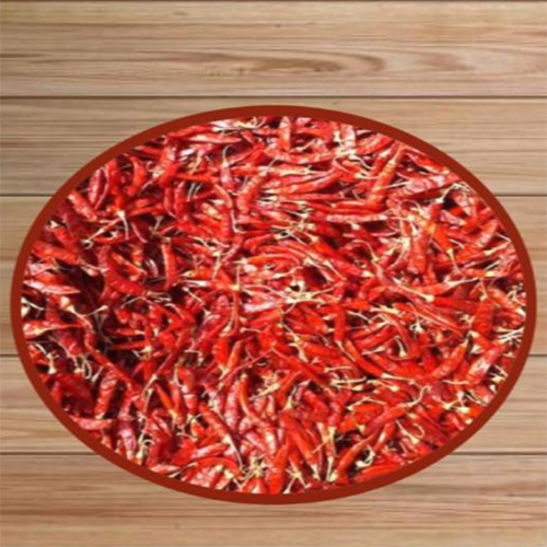 Red Syngenta Chilli