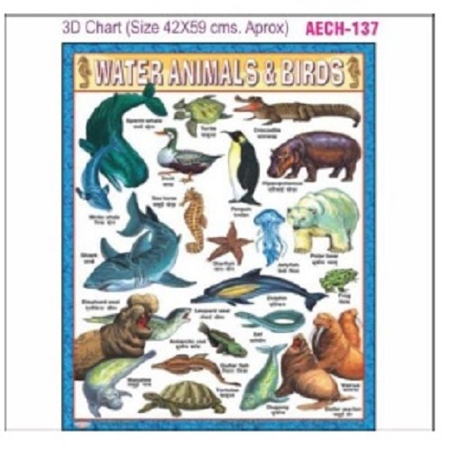 Chart Aech-137